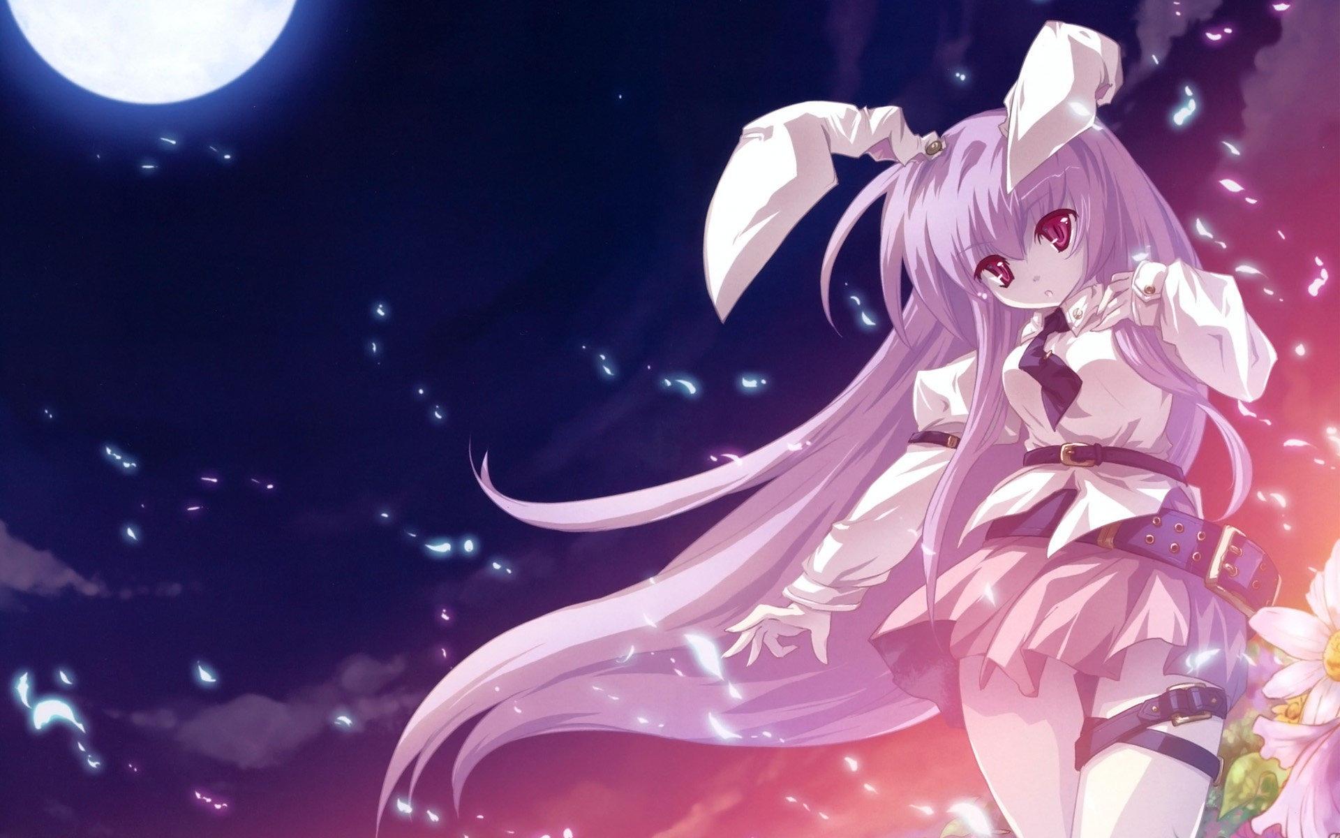 動(dòng)漫展業(yè)拓展